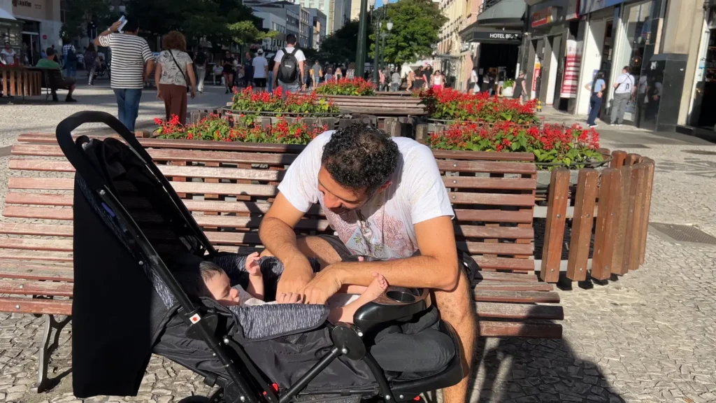 Calçadão da Rua das Flores com canteiros e pessoas caminhando