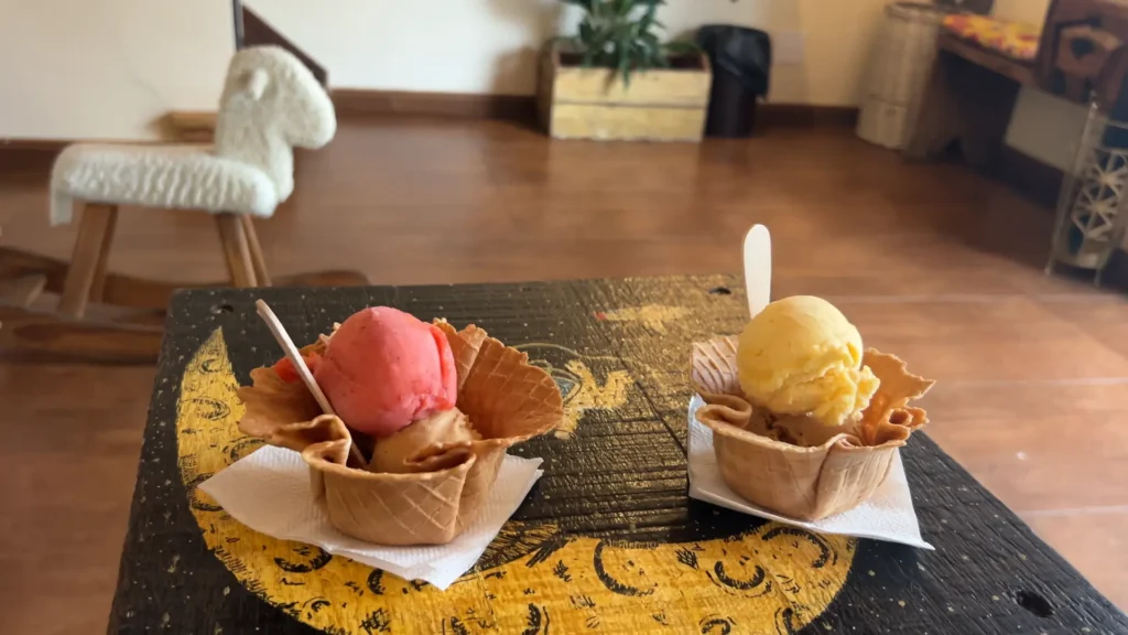 Sorvete artesanal da Singela