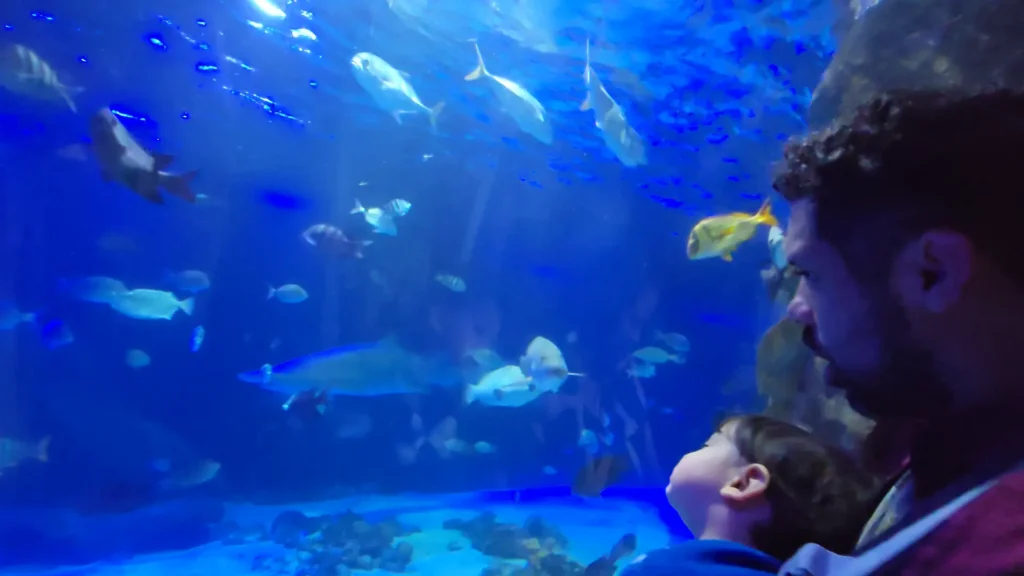 Túnel do Oceanic Aquarium em Balneário Camboriú